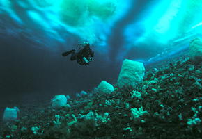 Diving Under The Ice II